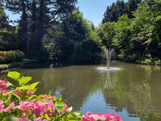 Am Mühlendammweg_Wennigsen