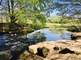 Dalke Wassererlebnispfad Flacher Bach mit Trittsteinen, umgeben von Bäumen und Wiese an der Dalke.