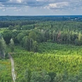 Eiszeitlandschaft Bippen-Wald Wanderung zum Wohlfühlen