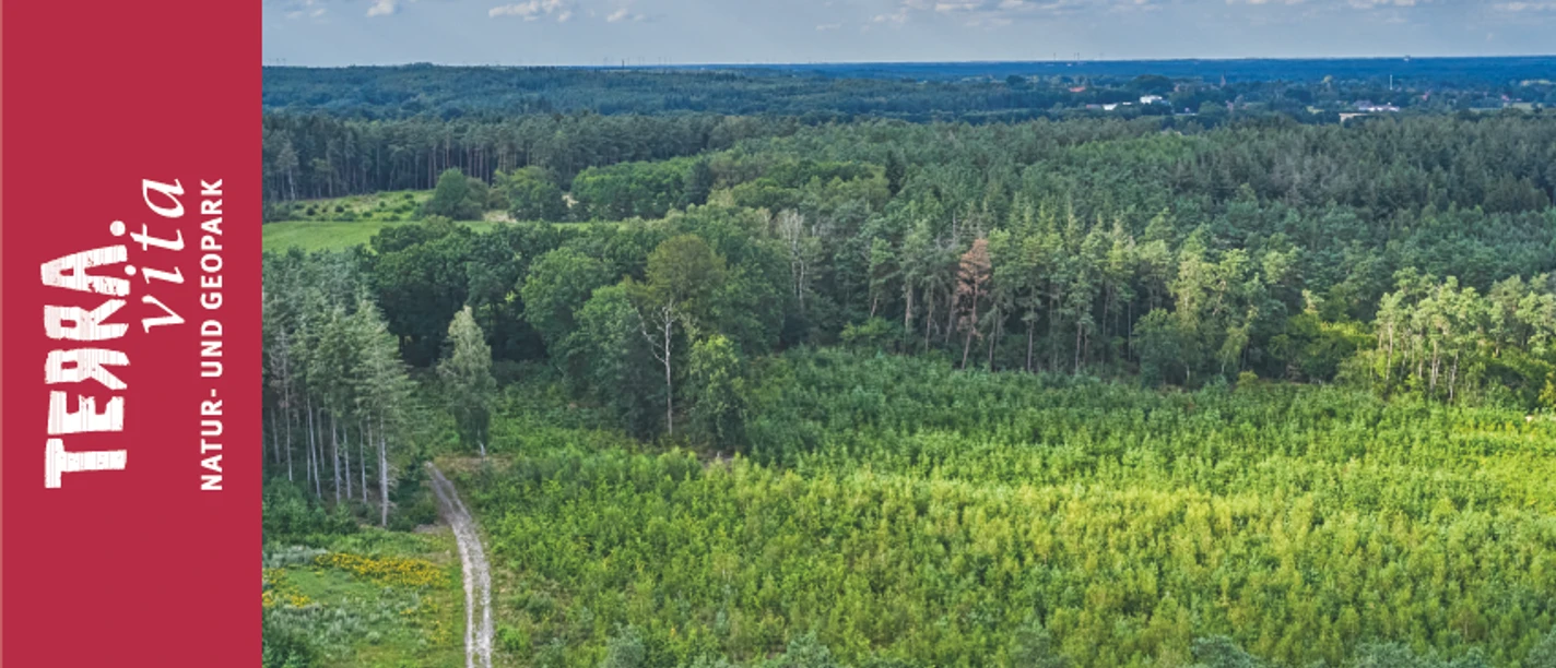 Eiszeitlandschaft Bippen-Wald Wanderung zum Wohlfühlen