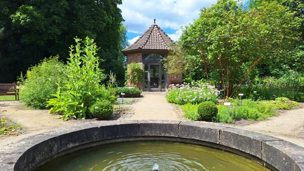 Heilpflanzengarten