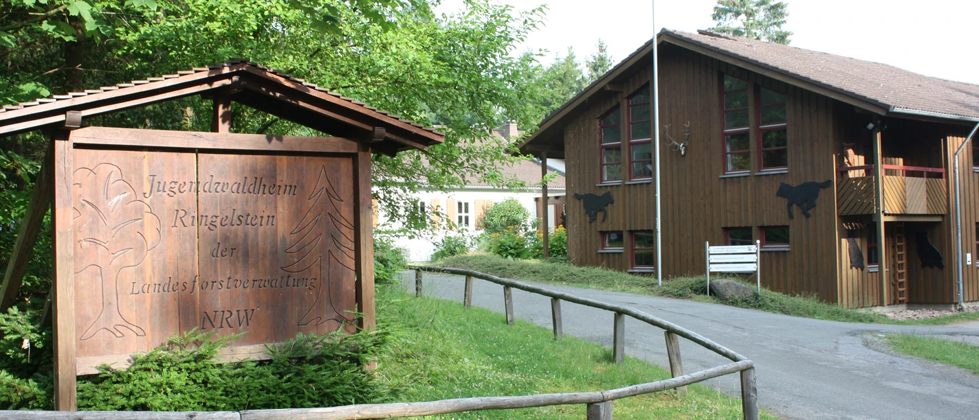 Jugendwaldheim | Büren-Ringelstein Jugendwaldheim | Büren-Ringelstein