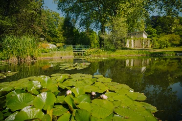 Botanischer Garten Potsdam Teich im Botanischen Garten Potsdam