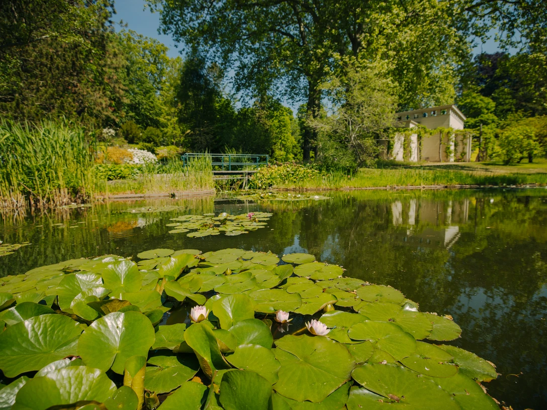 Botanischer Garten Potsdam