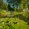 Botanischer Garten Potsdam