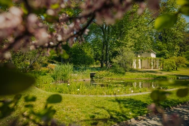 Botanischer Garten Potsdam Botanischer Garten Potsdam