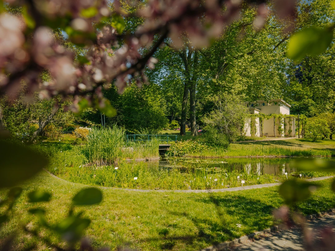 Botanischer Garten Potsdam