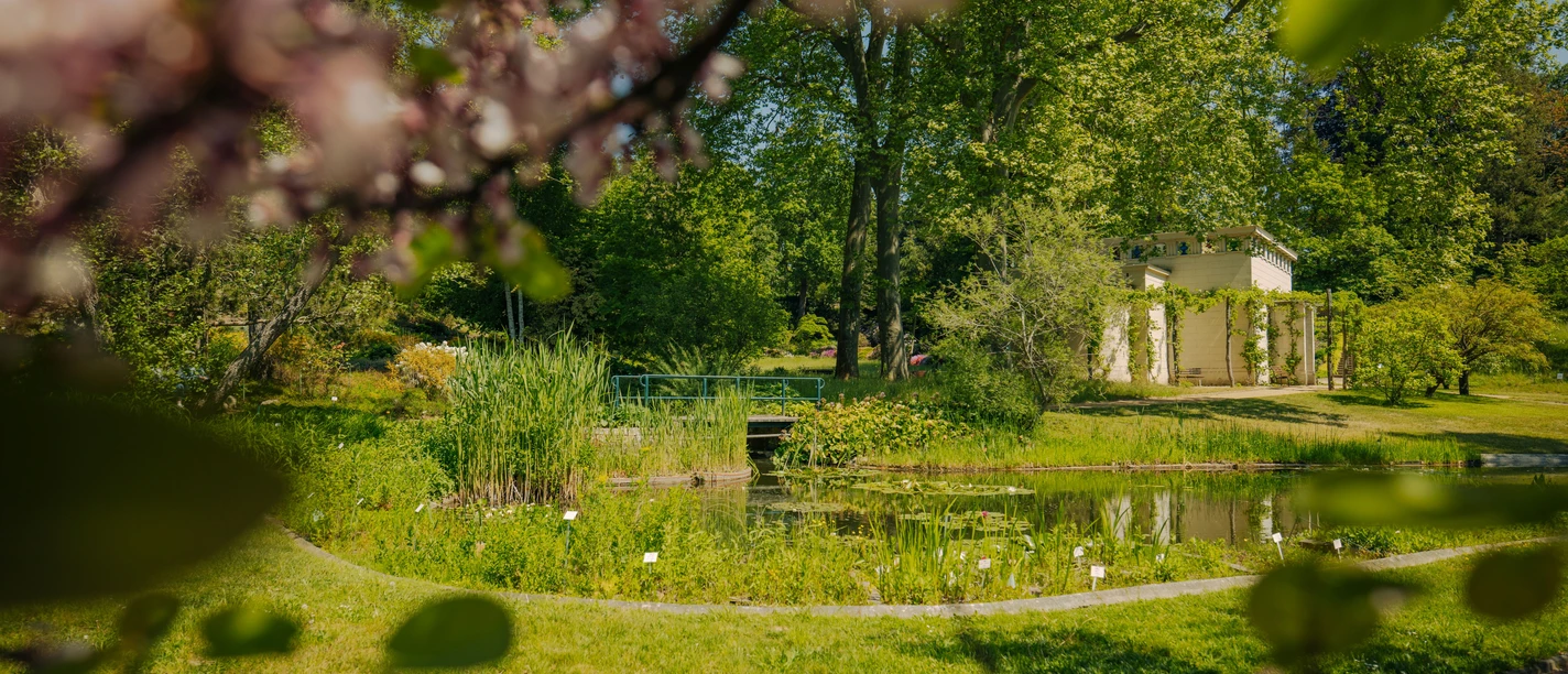 Botanischer Garten Potsdam Botanischer Garten Potsdam