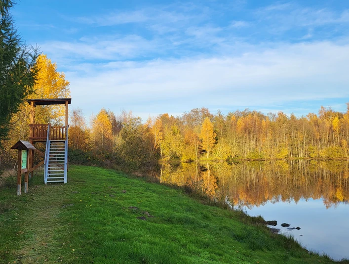 Naturbeobachtungsturm am Raddesee, Sögel ©Naturpark Hümmling.jpg