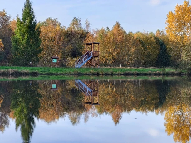 Naturbeobachtungsturm am Raddesee, Sögel ©Naturpark Hümmling (2).jpg