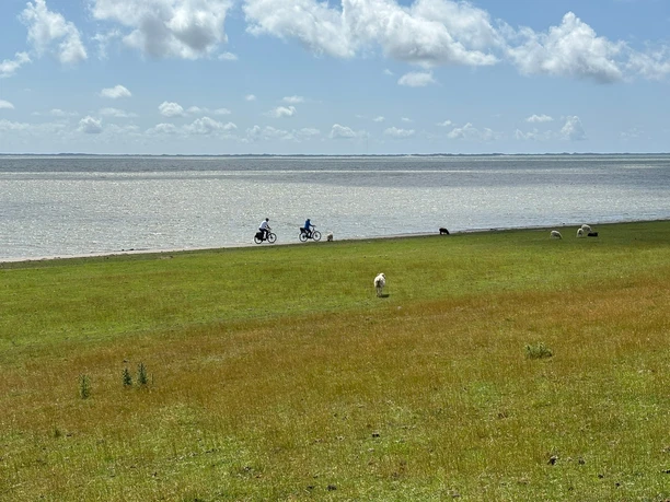 Fahrradfahrer am Morsumer Deich