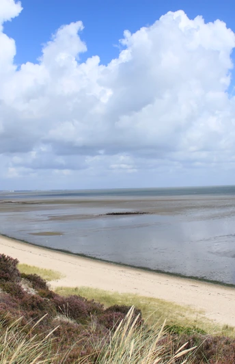 Blick auf das Wattenmeer von der Braderuper Heide