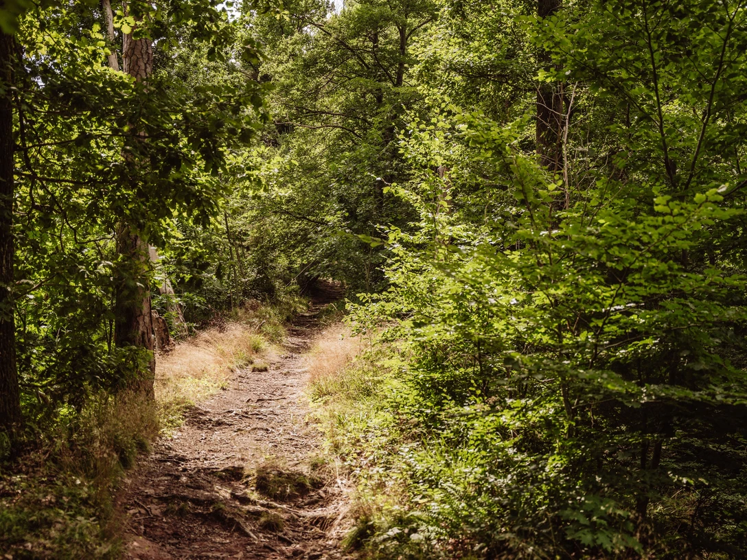 Baiersbronn Touristik