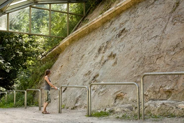Saurierfährten in Bad Essen Barkhausen Freigelegte Saurierfährten in der Natur bei Saurierfährten Barkhausen, geschützt präsentiert und von Wald umgeben.