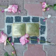 Stolpersteine Zwei Stolpersteine mit Rosen auf PflastersteinenTwo Stolpersteine with roses on pavement