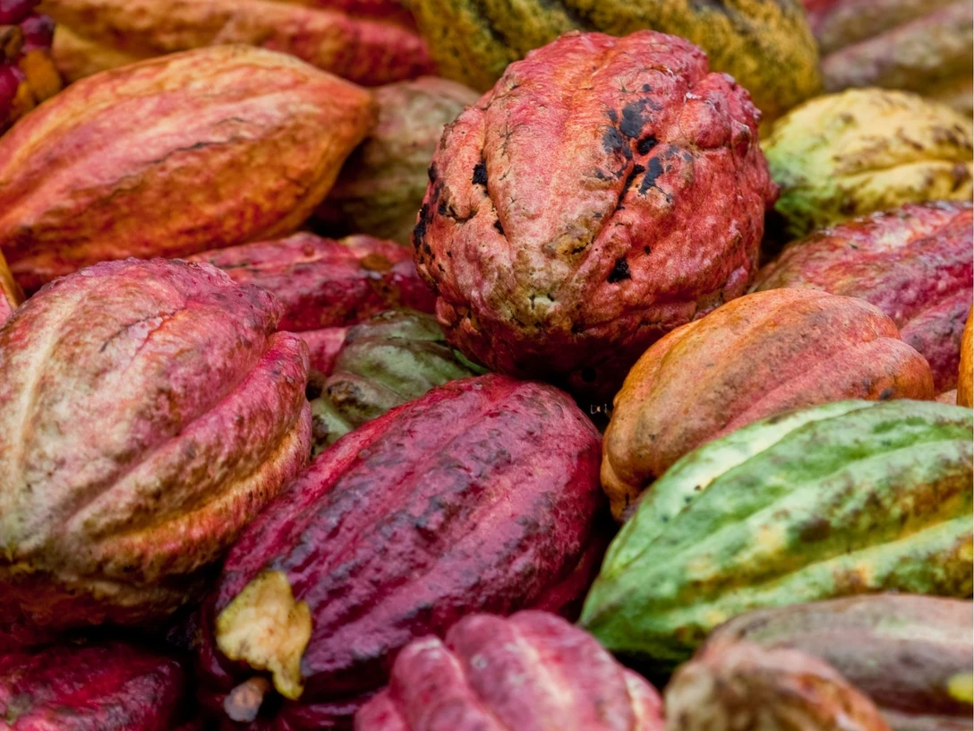 Newsletter (13 x 18 cm).jpg