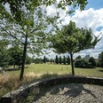 Park Kattenstroth Blick über Wiese mit Bäumen, gepflasterte Terrasse im Vordergrund, Weg und Häuser am Rand.