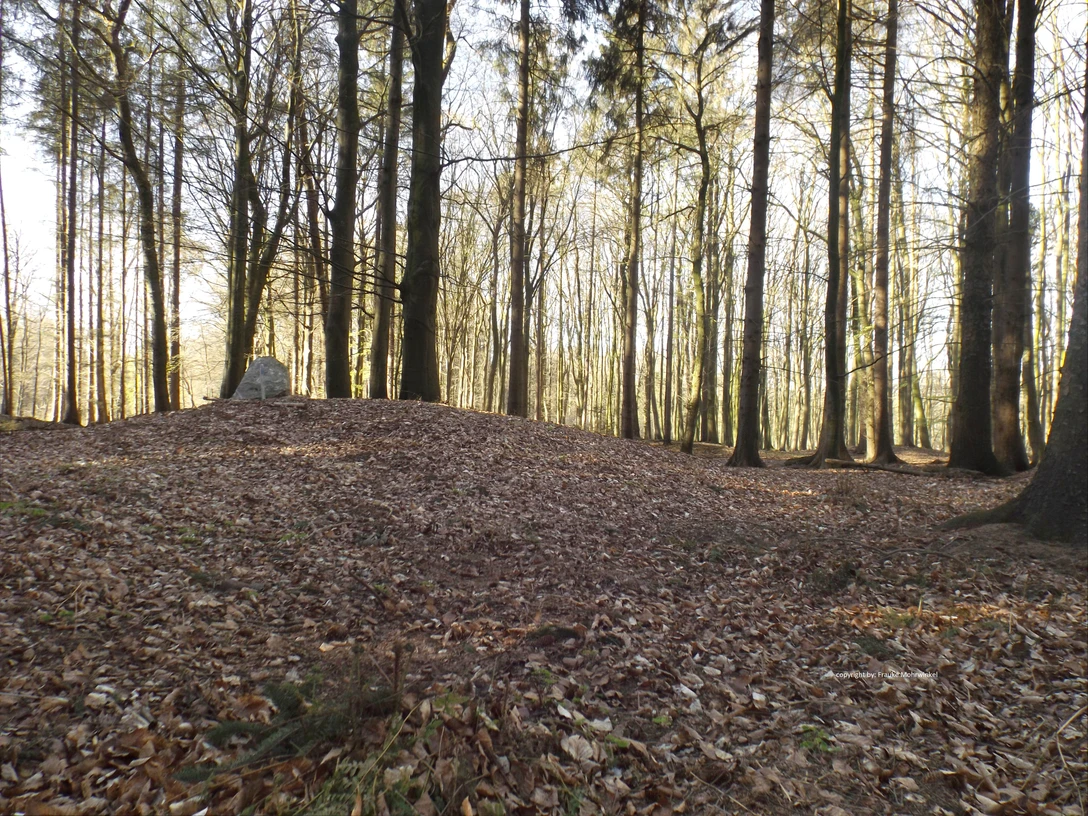 2026_11_08 Von Knicks und keltischen Feldern _ F Mohrwinkel.jpg