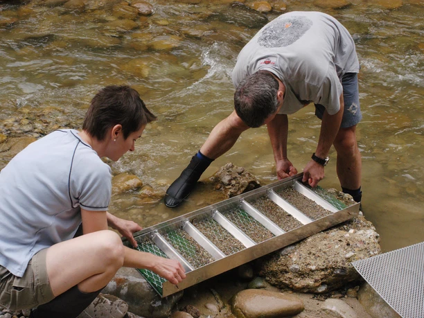 Orpaillage dans l'Entlebuch Orpaillage dans les ruisseaux de la région du Napf avec Gold Prospector.