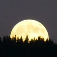 Vollmond.jpg
