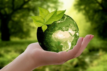 nature-3289812_1280.jpg