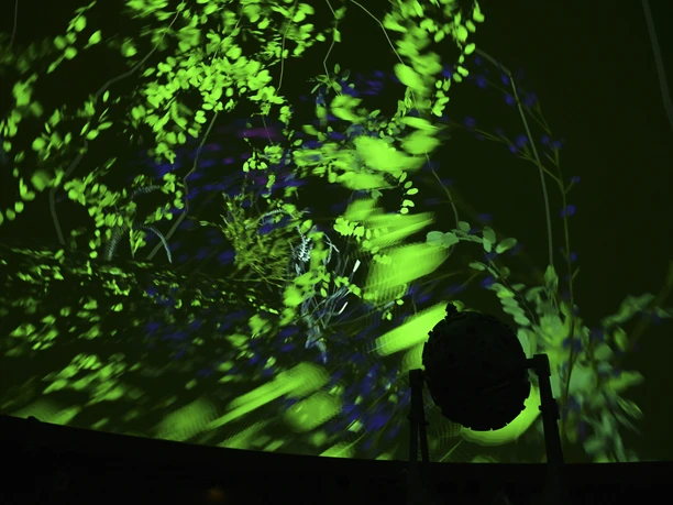 Zeitgefühl_Obert_C_Kimberly Jüschke.jpg