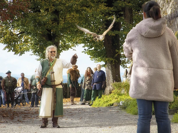Falkner mit Greifvogel Schloss Wildegg © Museum Aargau