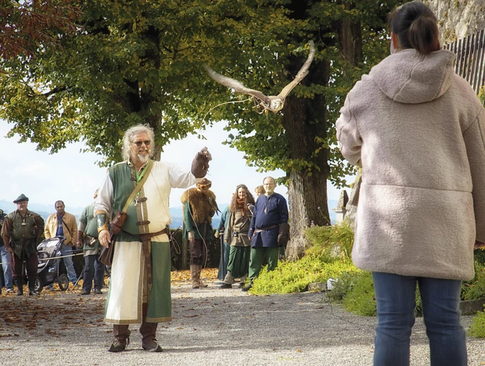 Falkner mit Greifvogel Schloss Wildegg © Museum Aargau