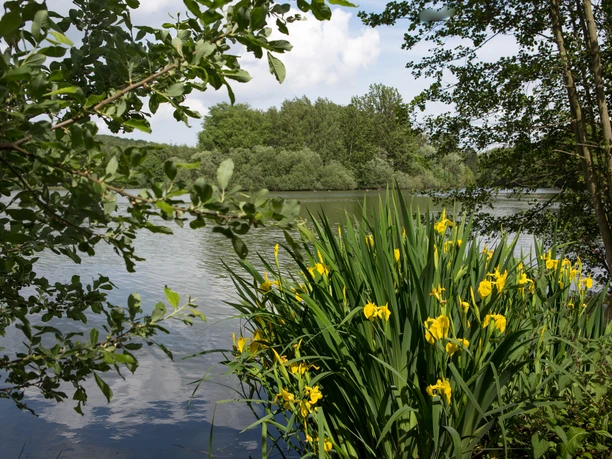 Idyllischer Blick auf den Sonnensee in Bissendorf