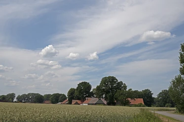 Bohmte im Osnabrücker Land Weite Landschaft bei Bohmte mit Feldern, vereinzelten Höfen und Baumreihen unter weitem Himmel.