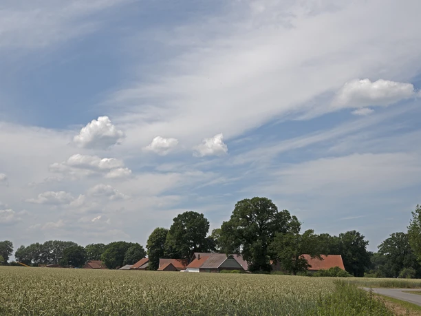 Bohmte im Osnabrücker Land Weite Landschaft bei Bohmte mit Feldern, vereinzelten Höfen und Baumreihen unter weitem Himmel.