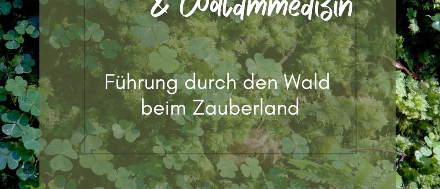 Waldboden mit Klee und feuchtem Moos
