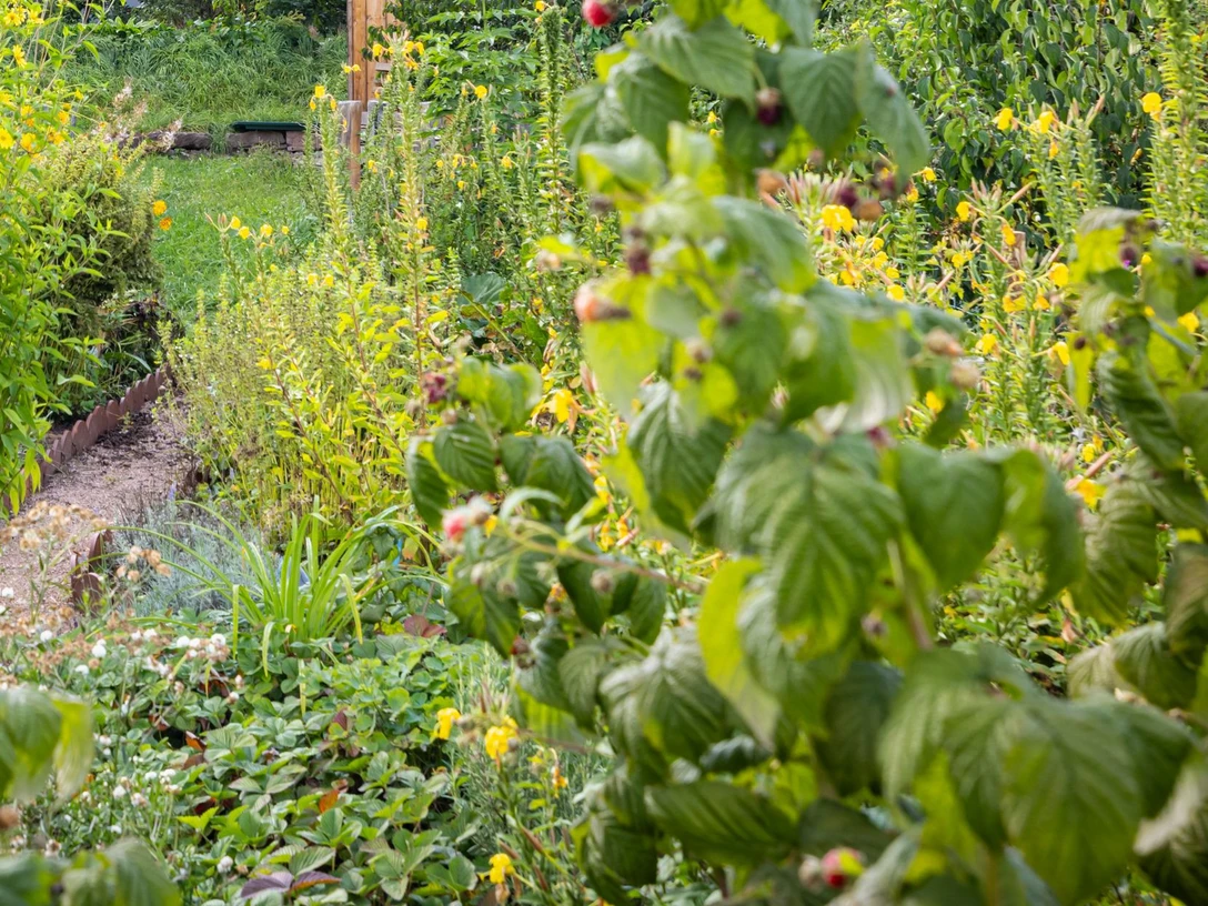Traditioneller Bauerngarten
