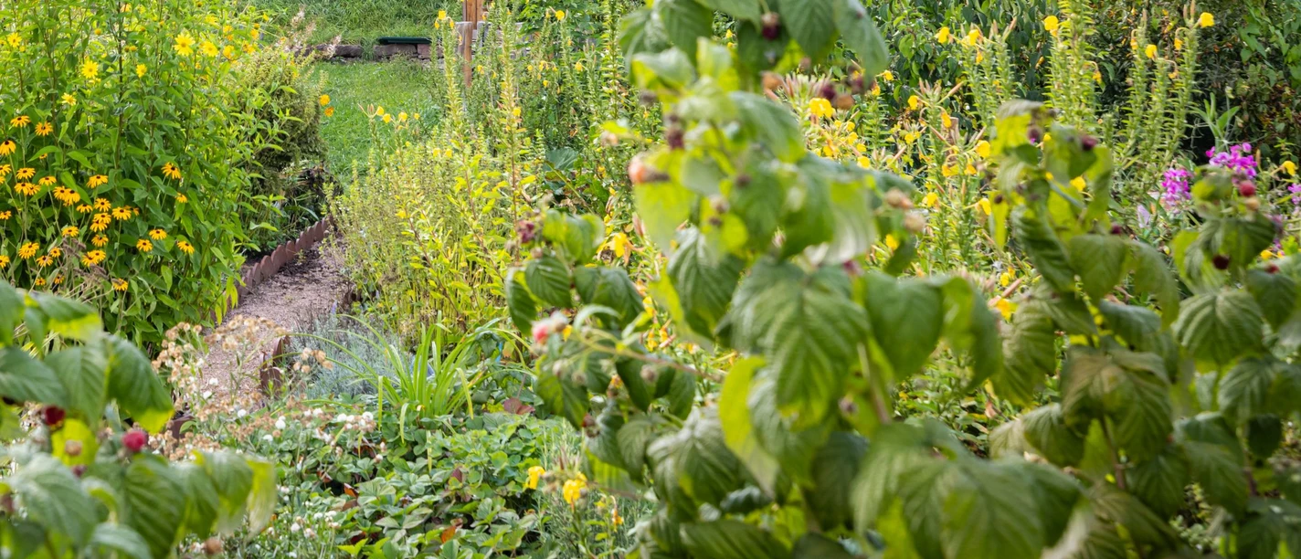 Traditioneller Bauerngarten