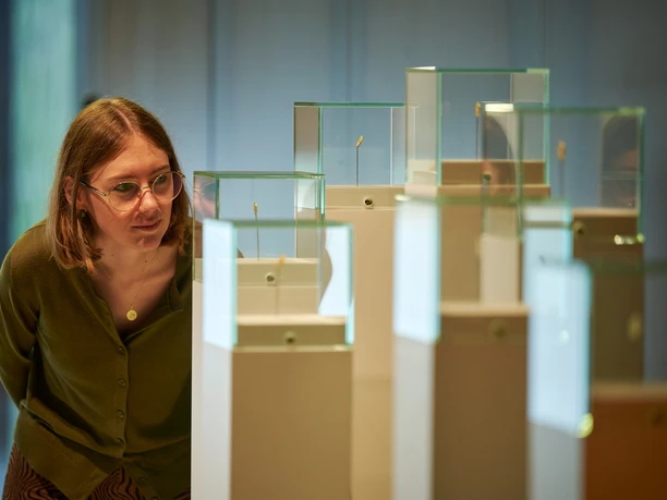 Bezoeker in de tentoonstelling over de Varusslag in het Osnabrücker Land - Museum en Park Kalkriese, met archeologische opstellingen en moderne presentatievitrines.