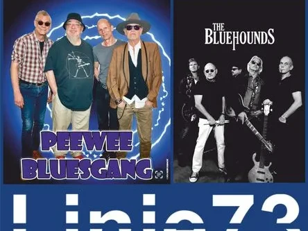 Peewee Bluesgang.webp