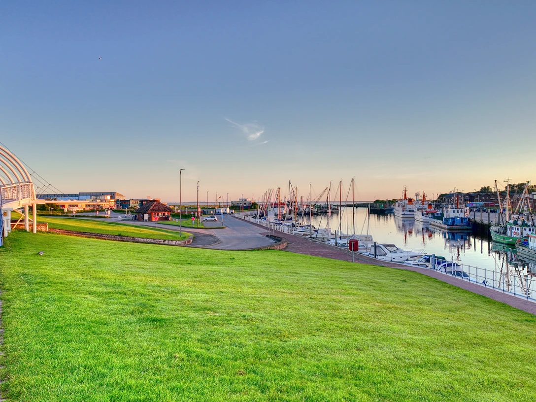 Deich-Foto-Michael Albers8.jpg