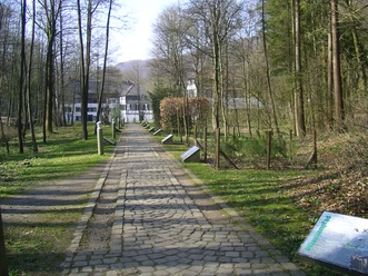 Pflanzenpfad Pflanzenpfad mit historischer Papiermühle und Bäumen in Bergisch Gladbach.