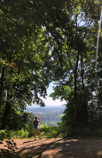 Burgweg mit Brockenblick