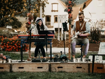 Picknickkonzert7 klein