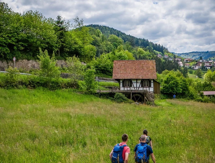 WandernTourist-Info (2) klein