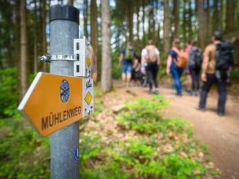 WandernTourist-Info (3)