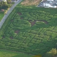 Maislabyrinth