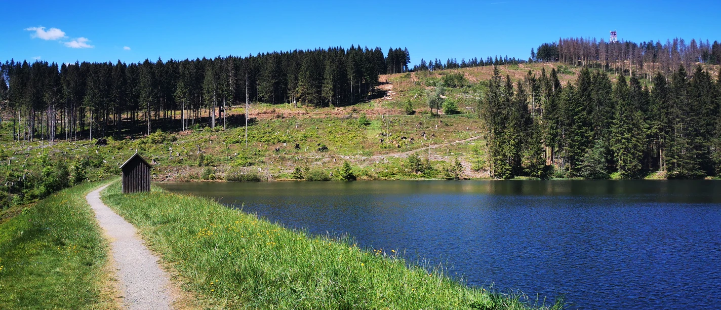 Auerhahn Kaskade in der Stiftung Welterbe im Harz Auerhahn Kaskade in der Stiftung Welterbe im Harz