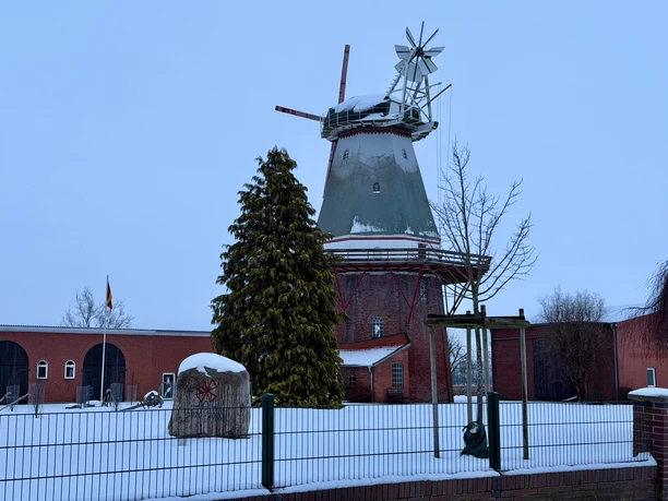 Blender Mühle