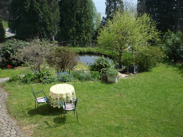 Sunnäschyn 25.4.2010 021.jpg