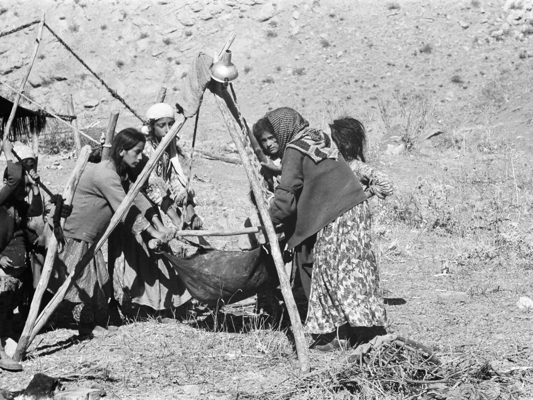 The Estate of Werner Finke The Estate of Werner Finke