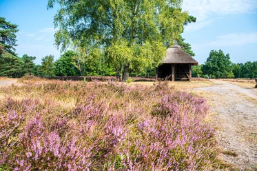 Höpen