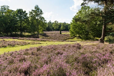 Höpen
