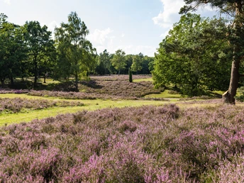 Landschaftsschutzgebiet Höpen